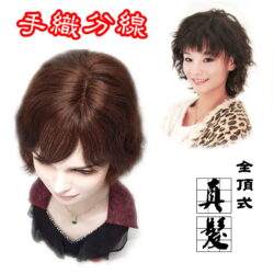 全頂式真髮☆ 高層次澎鬆永久燙 手織分線 中老年假髮 媽媽 女士☆捲髮☆【742HC】