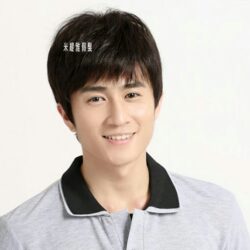 全頂式男髮☆男士真髮 美男 陽光型男 百搭☆短髮【8106HBW】