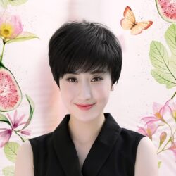 全頂式中老年假髮☆氣質媽媽女士熟女☆短髮【8132】