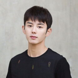 全頂式男髮☆男士 美男 型男 韓流款 ☆短髮【9771】