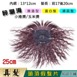 【頭頂假髮片】【真髮】【20cm】【WD9A】舒適、自然、快速穿戴 小捲燙 玉米燙