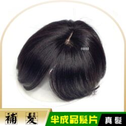 半成品真髮片